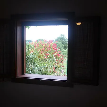 Appartamento Posta Del Sole
