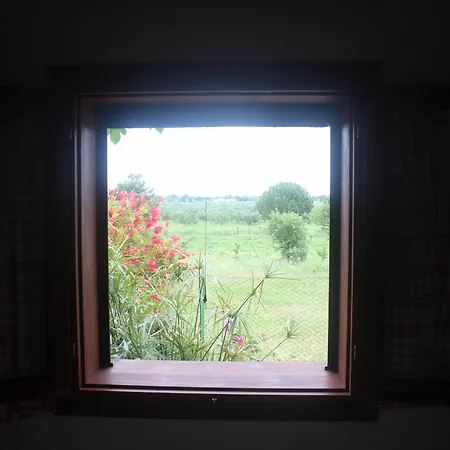 Posta Del Sole Apartment